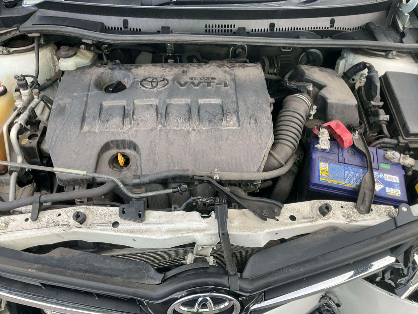 Toyota
Corolla