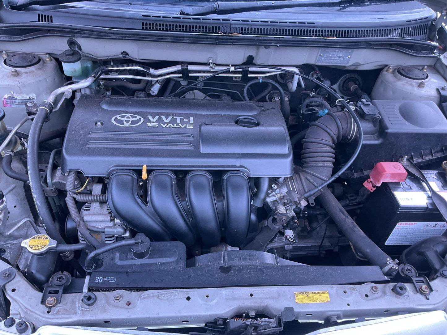 Toyota
Corolla