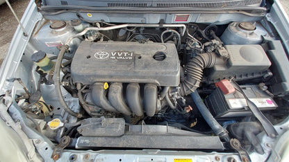 Toyota 
Corolla