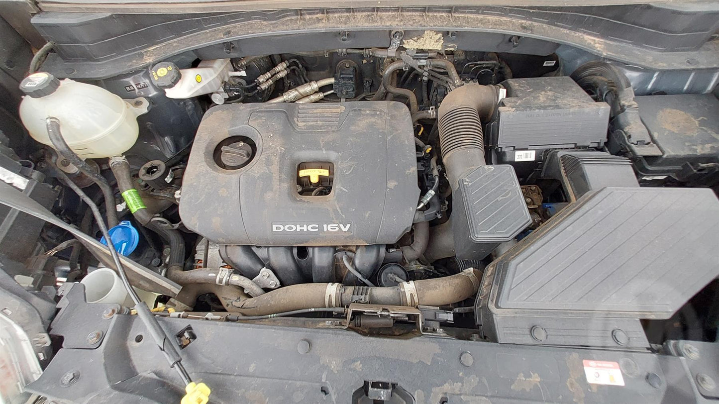Kia 
Sportage