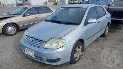Toyota 
Corolla