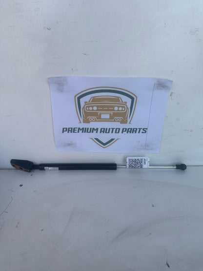 2008  E150 Left Tailgate Strut