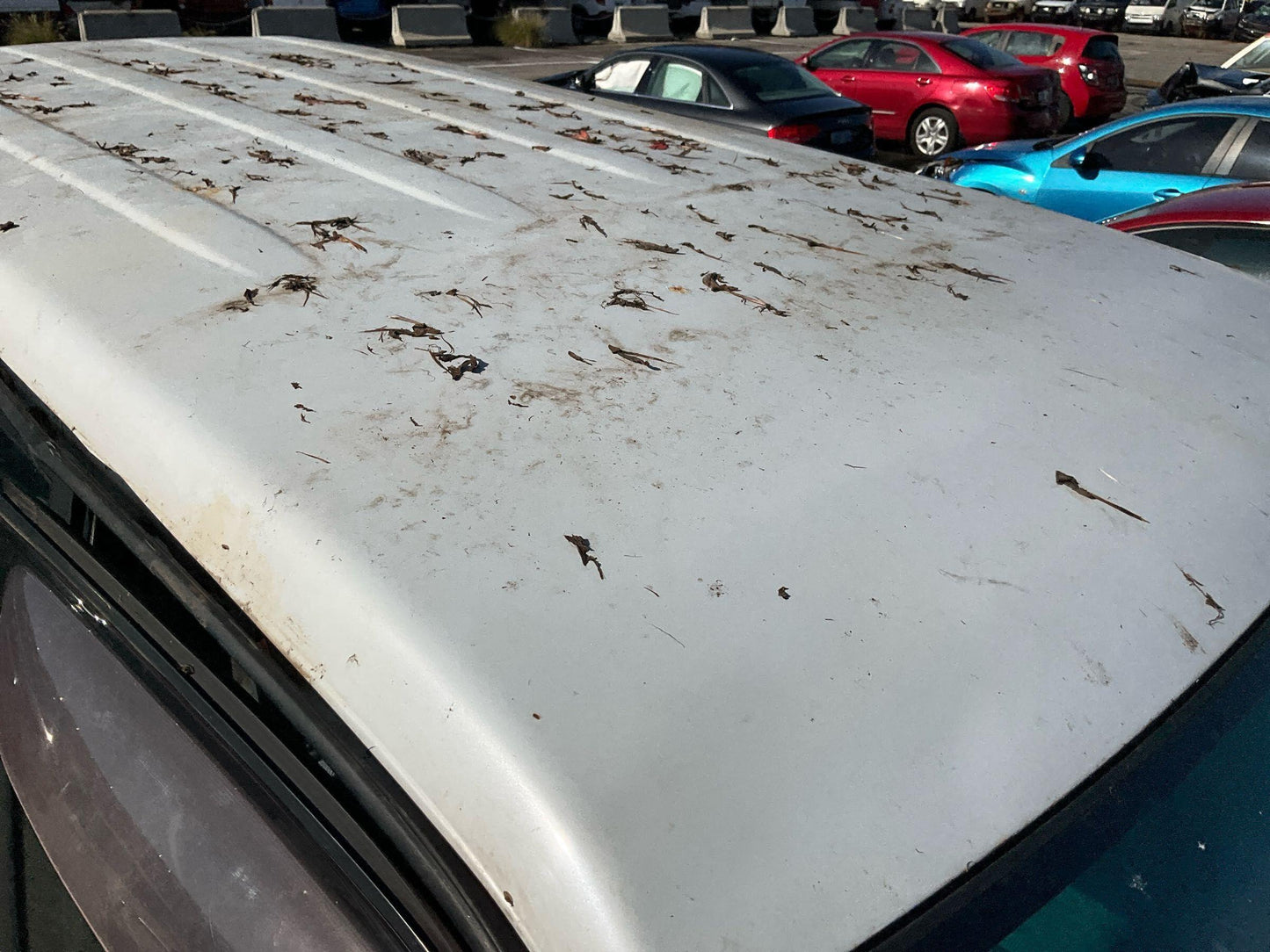 Toyota 
Land Cruiser