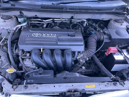 Toyota 
Corolla