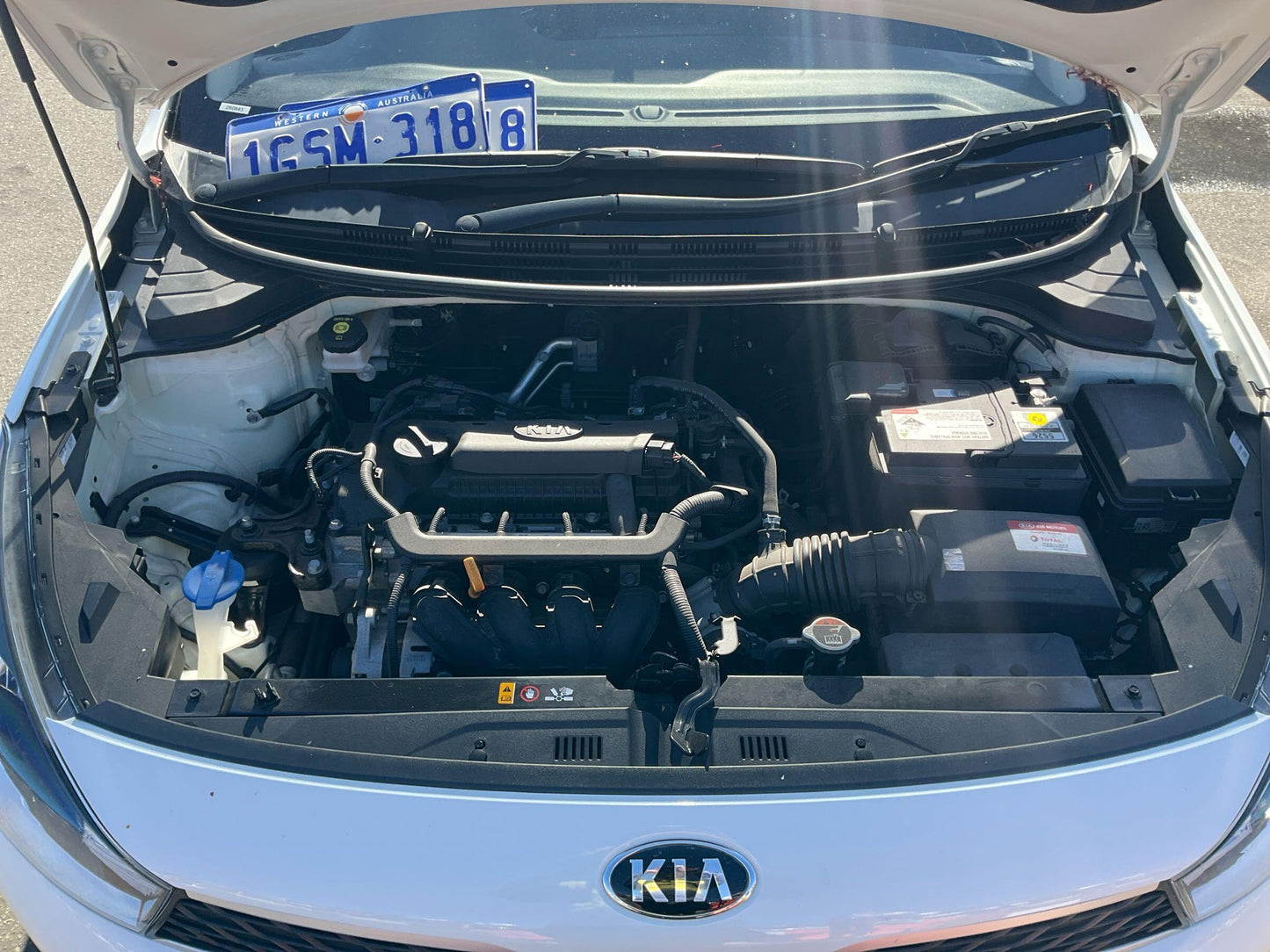 2019 Kia Rio  YBHatchback 
Kia
Rio