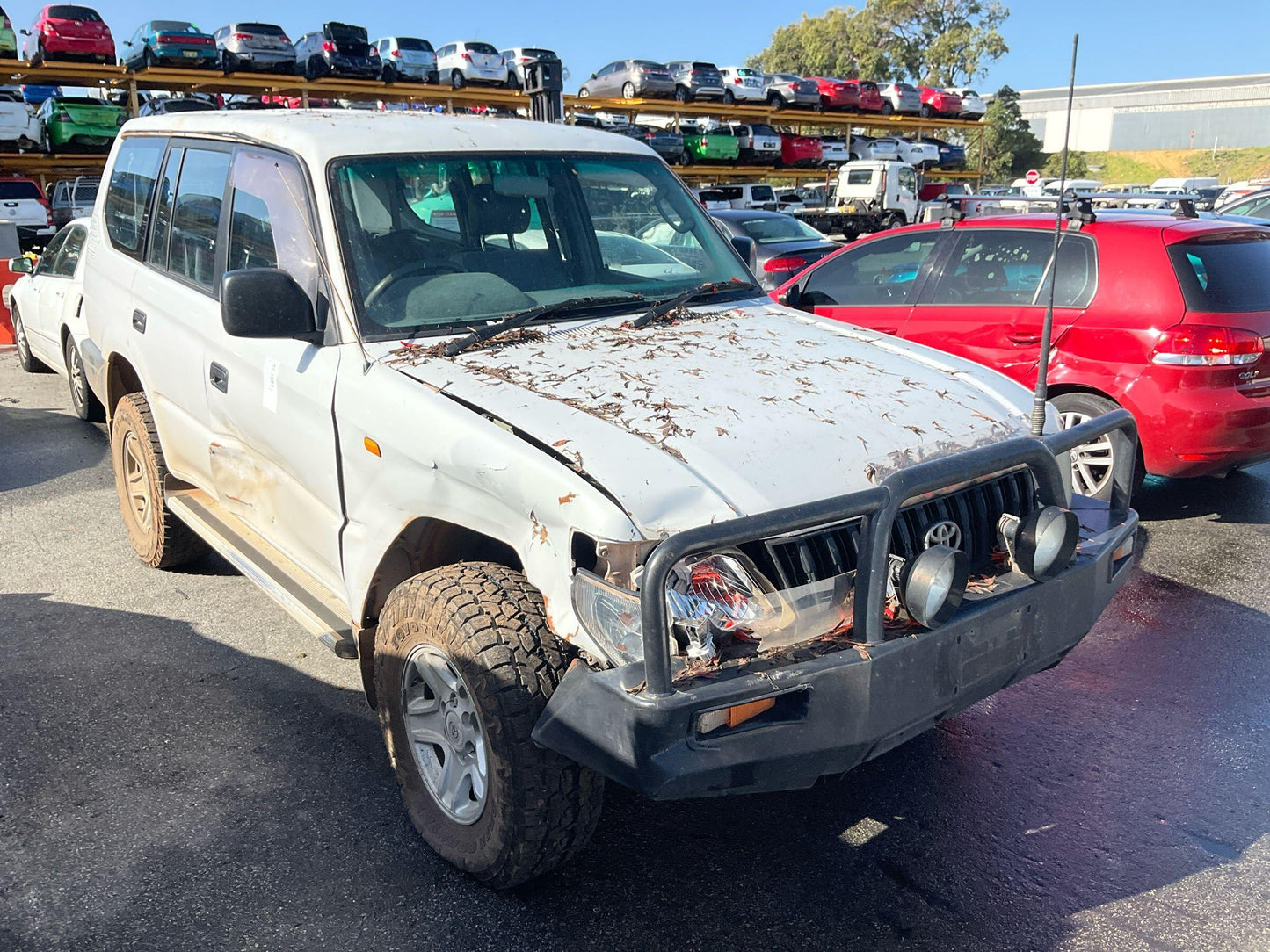 Toyota 
Land Cruiser
