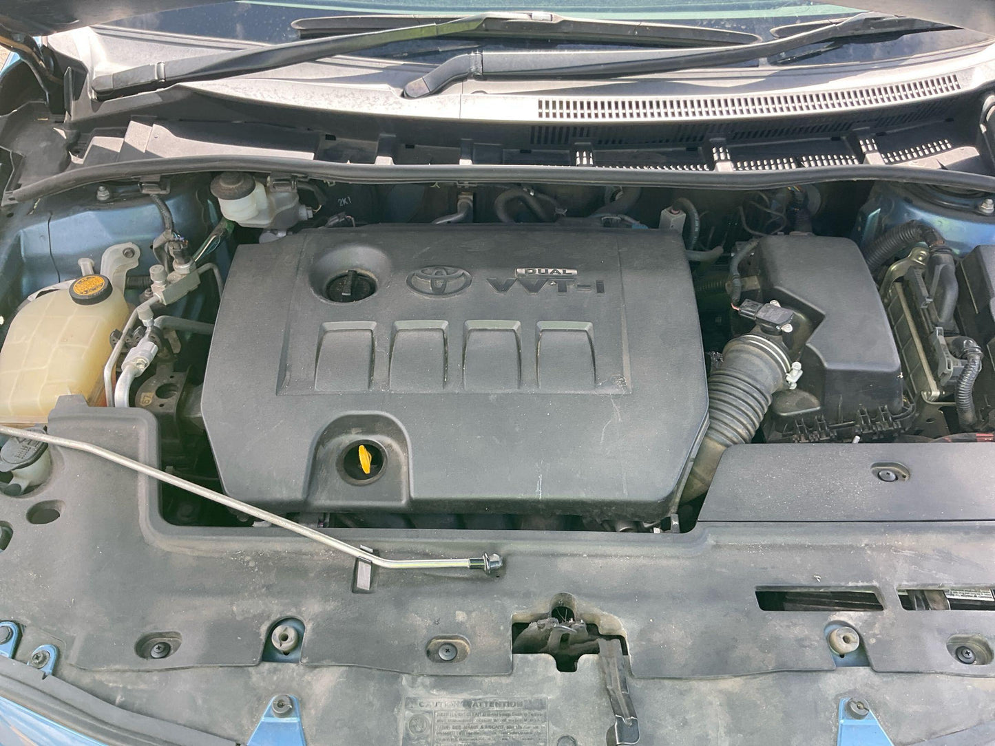 Toyota 
Corolla