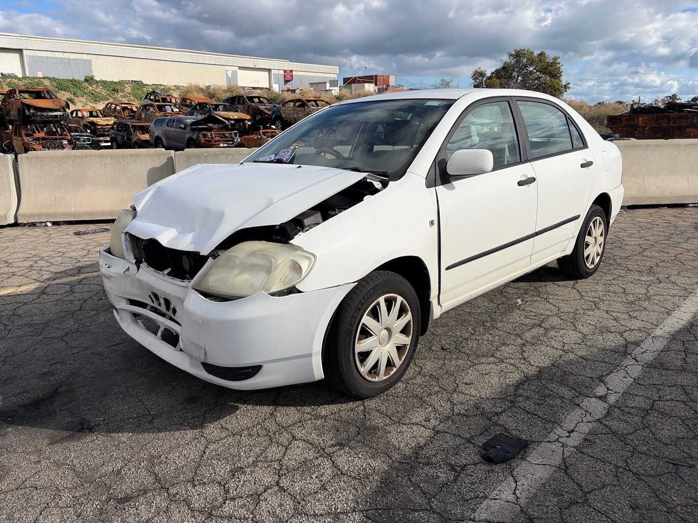 2003 Corolla