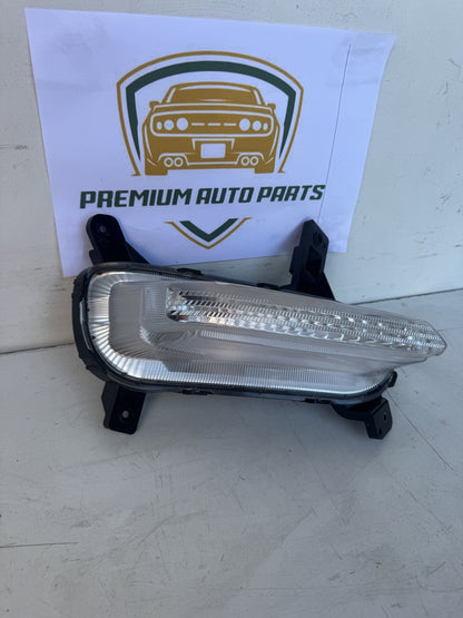 2020   Left Fog Light