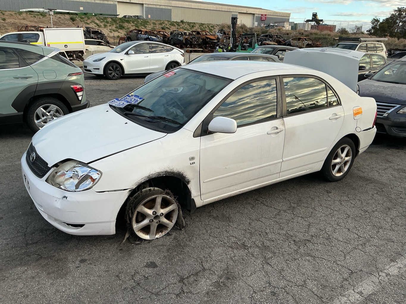 2006 Corolla