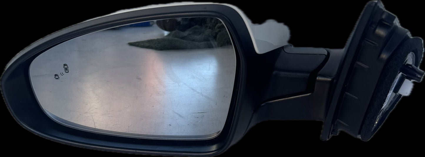 2020   Left Door Mirror