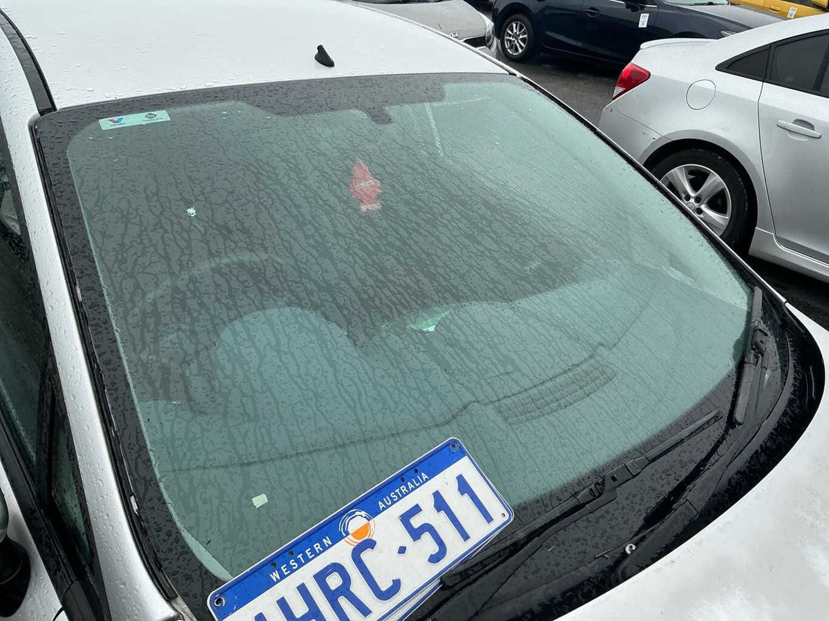 2009 Ford Fiesta CL WS