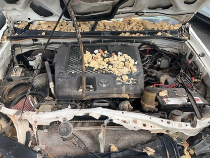 2012 Toyota Hilux N70
